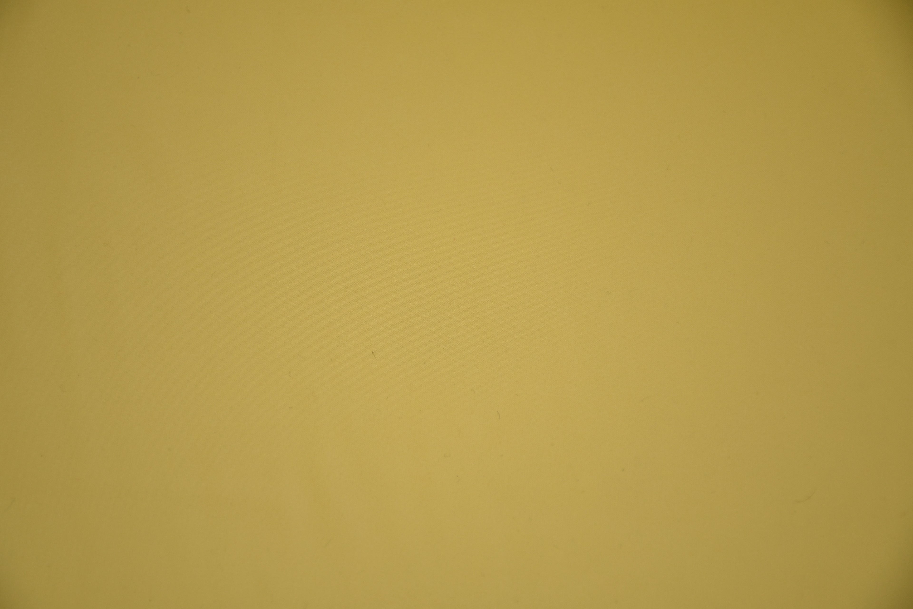 Silky Satin Stretch - Custard
