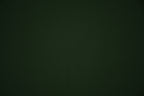 Silky Satin Stretch- Pine