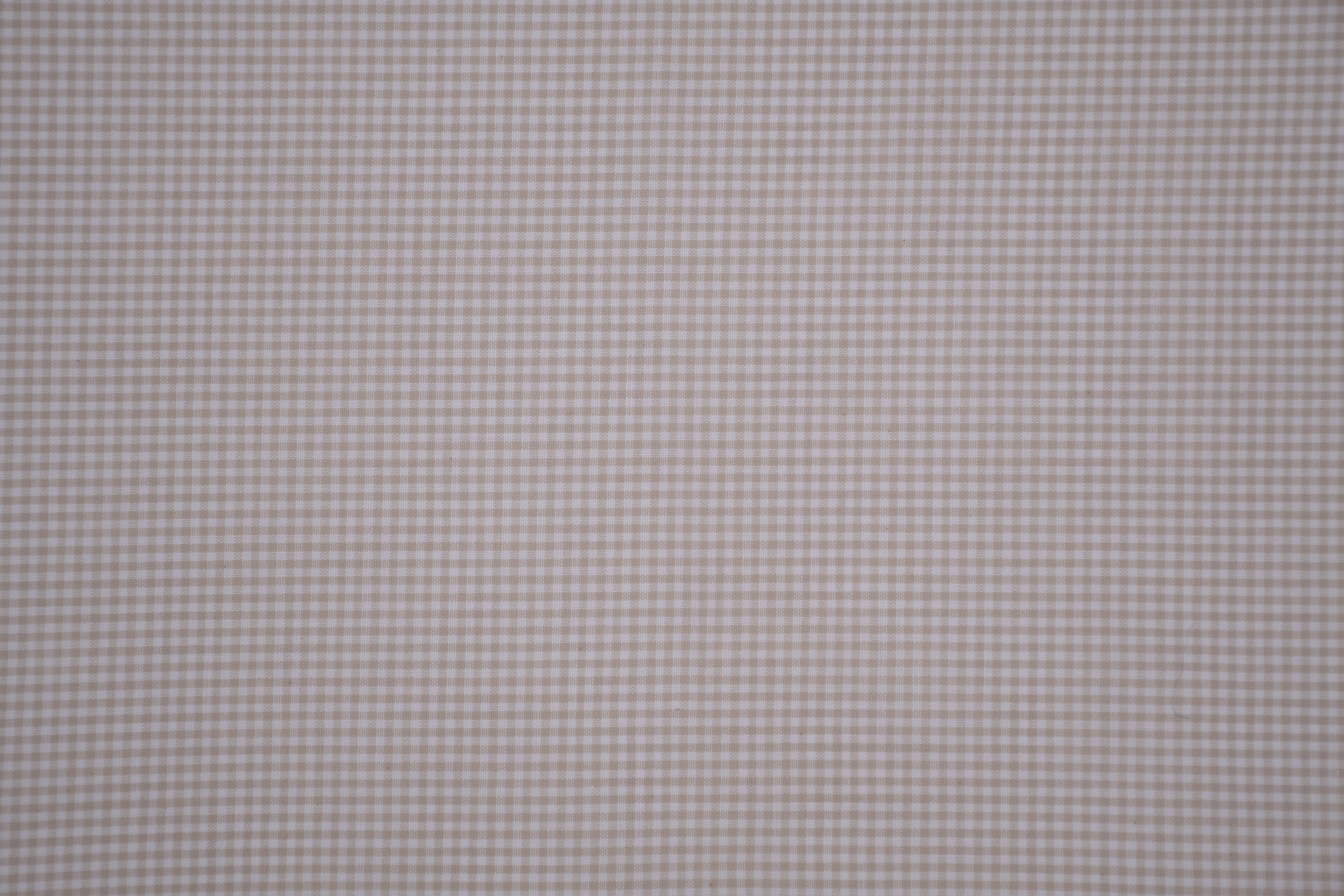 Gingham Checks Yarn-Dyed Cotton Fabric - Almond