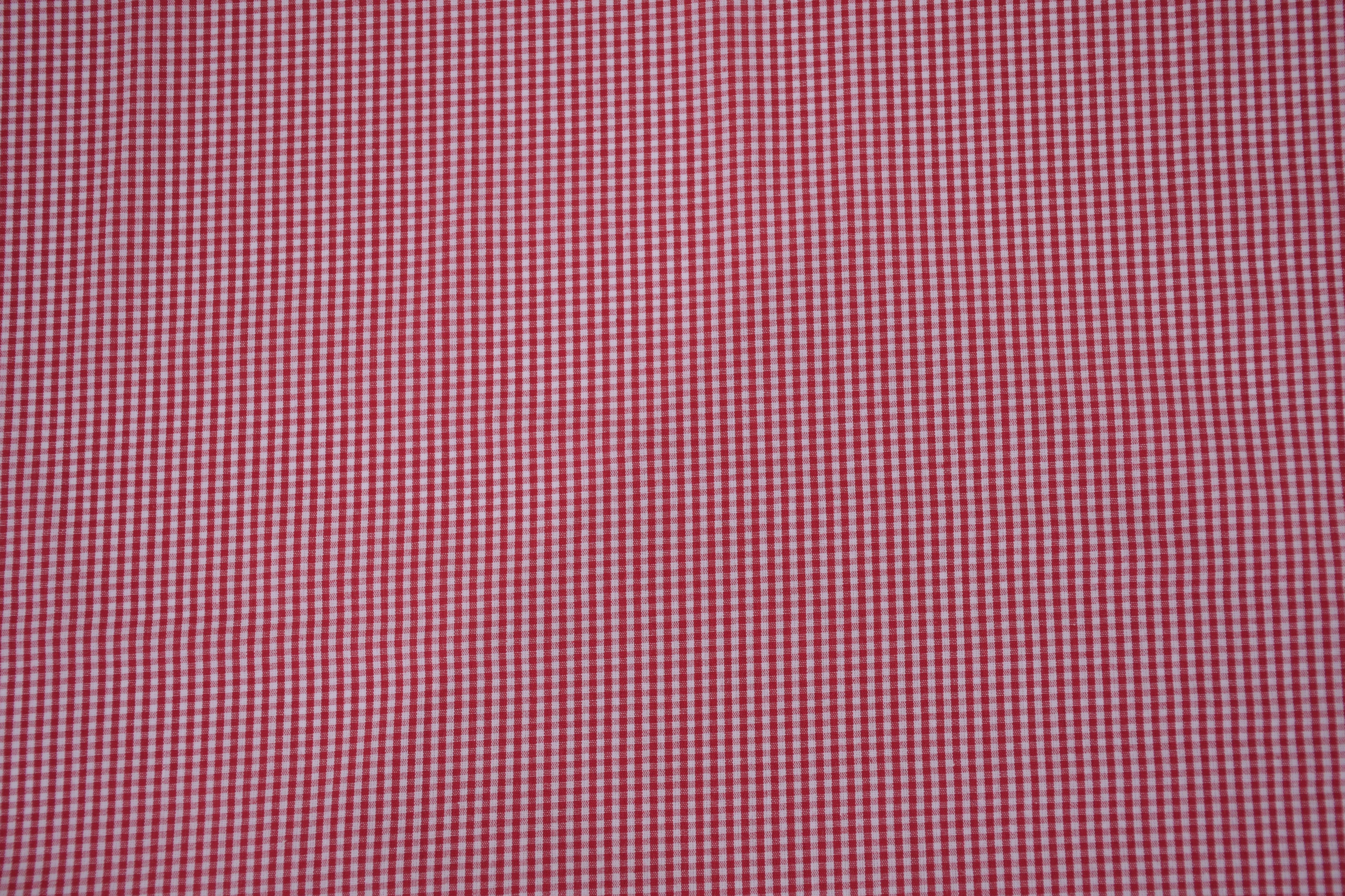 Gingham Checks Yarn-Dyed Cotton Fabric -  Heritage Red