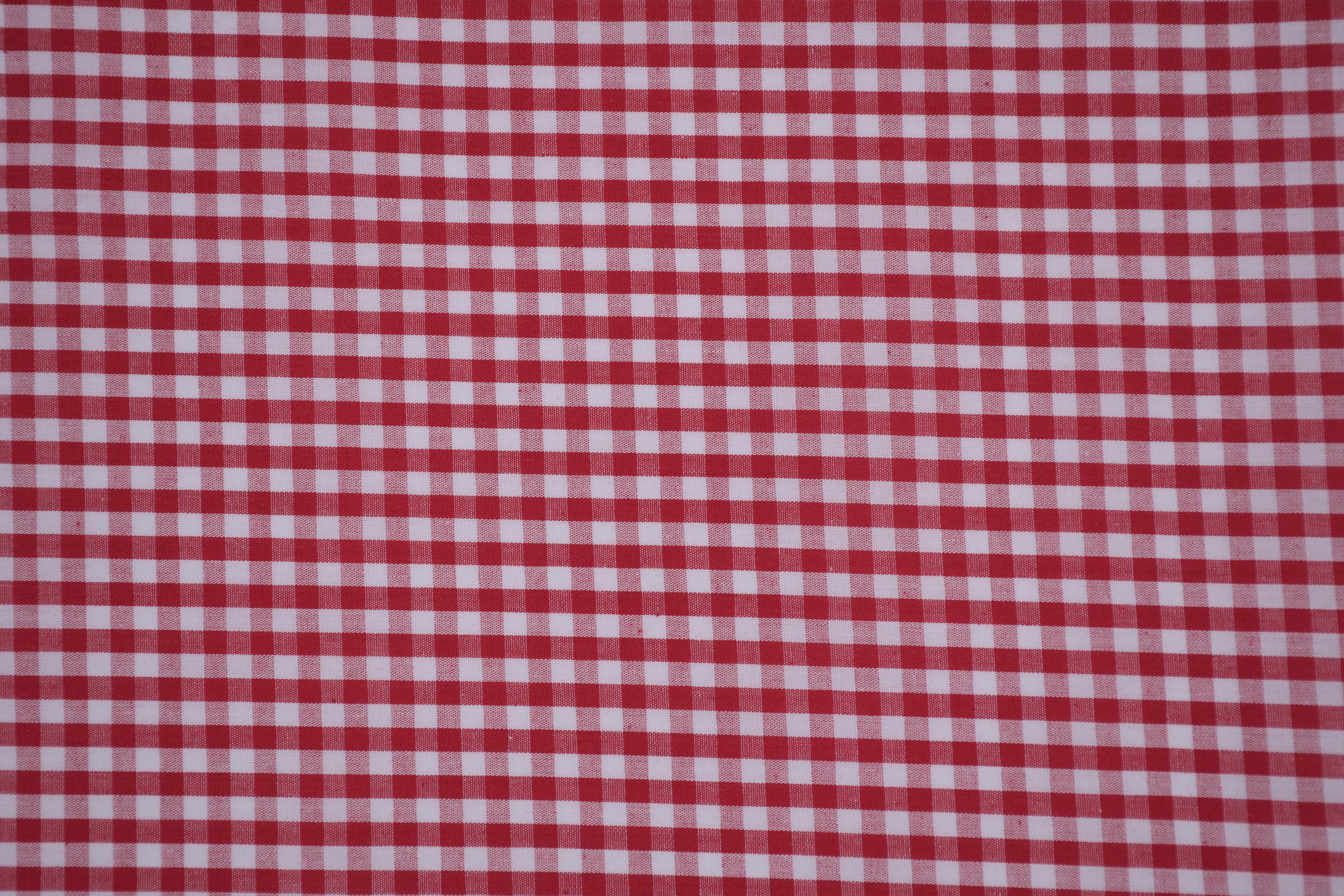 Gingham Checks Yarn-Dyed Cotton Fabric -  Heritage Red
