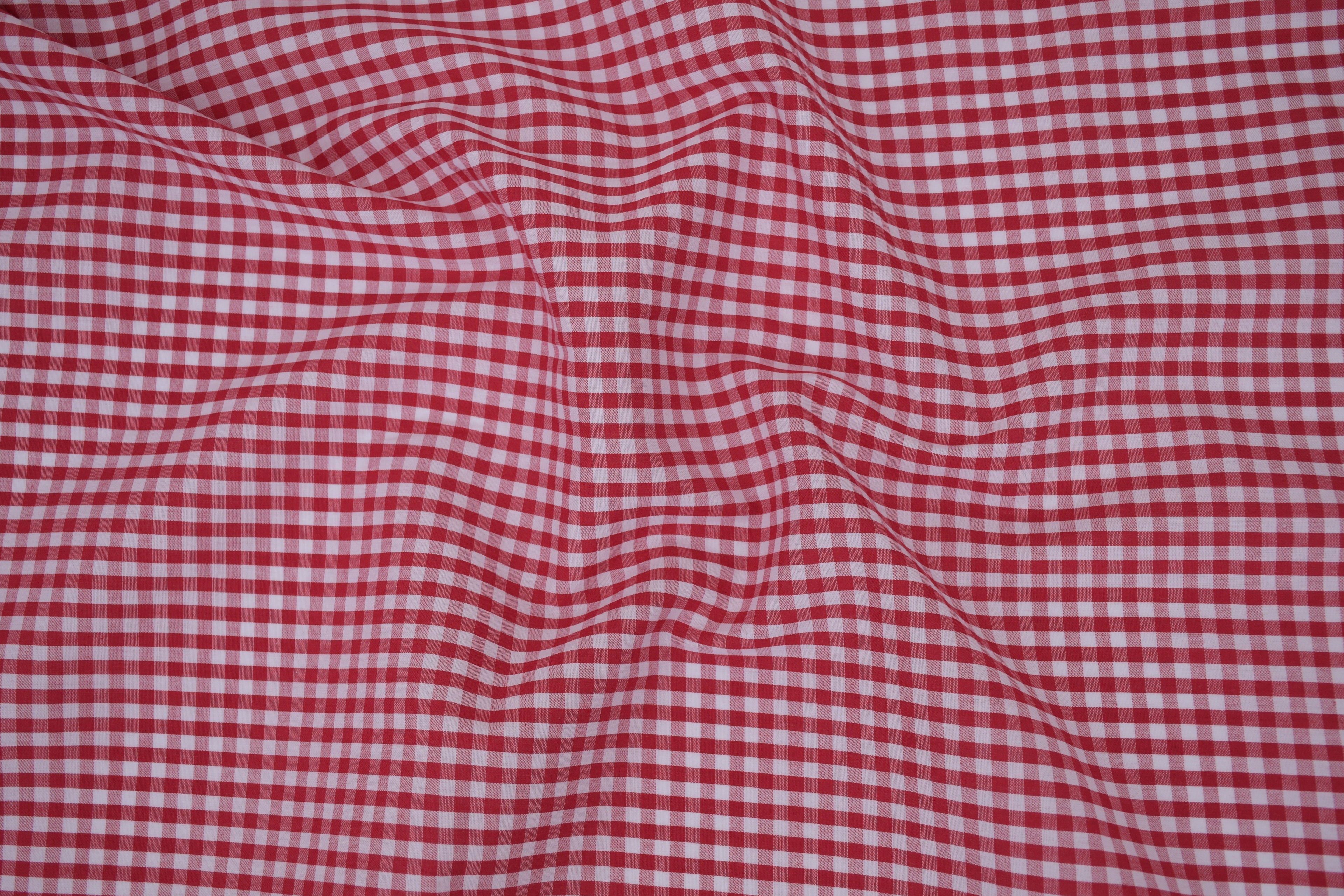 Gingham Checks Yarn-Dyed Cotton Fabric -  Heritage Red
