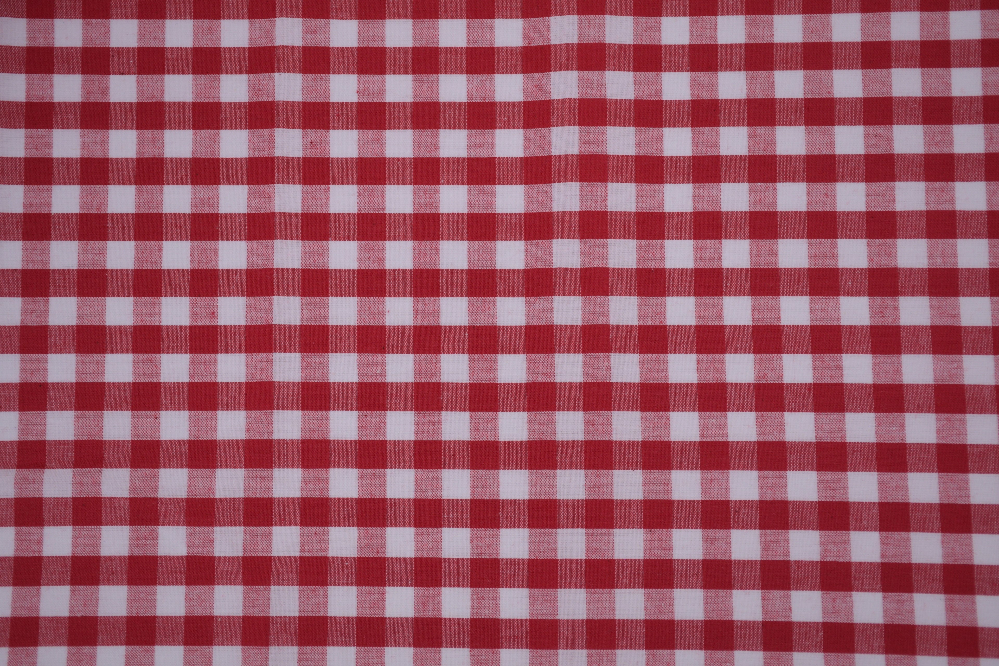 Gingham Checks Yarn-Dyed Cotton Fabric -  Heritage Red