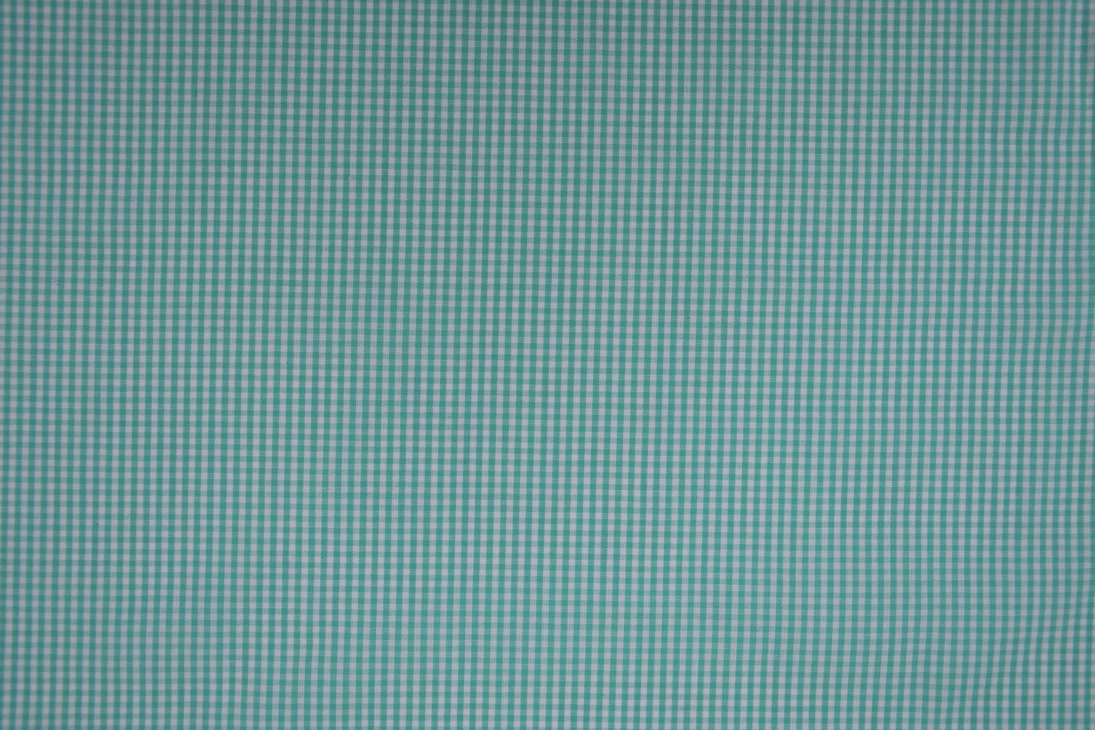 Gingham Checks Yarn-Dyed Cotton Fabric - Aqua Green
