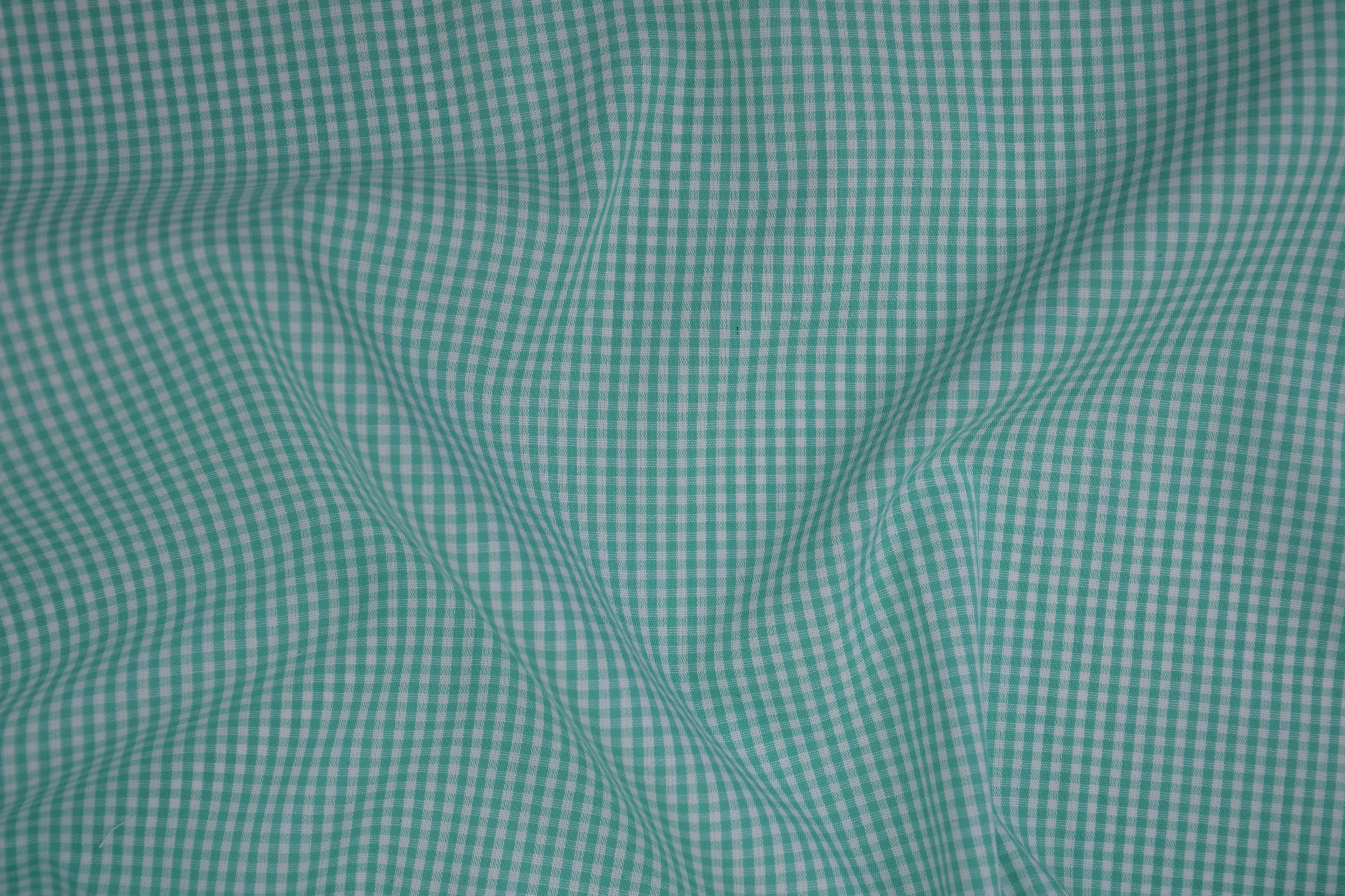 Gingham Checks Yarn-Dyed Cotton Fabric - Aqua Green