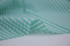Gingham Checks Yarn-Dyed Cotton Fabric - Aqua Green