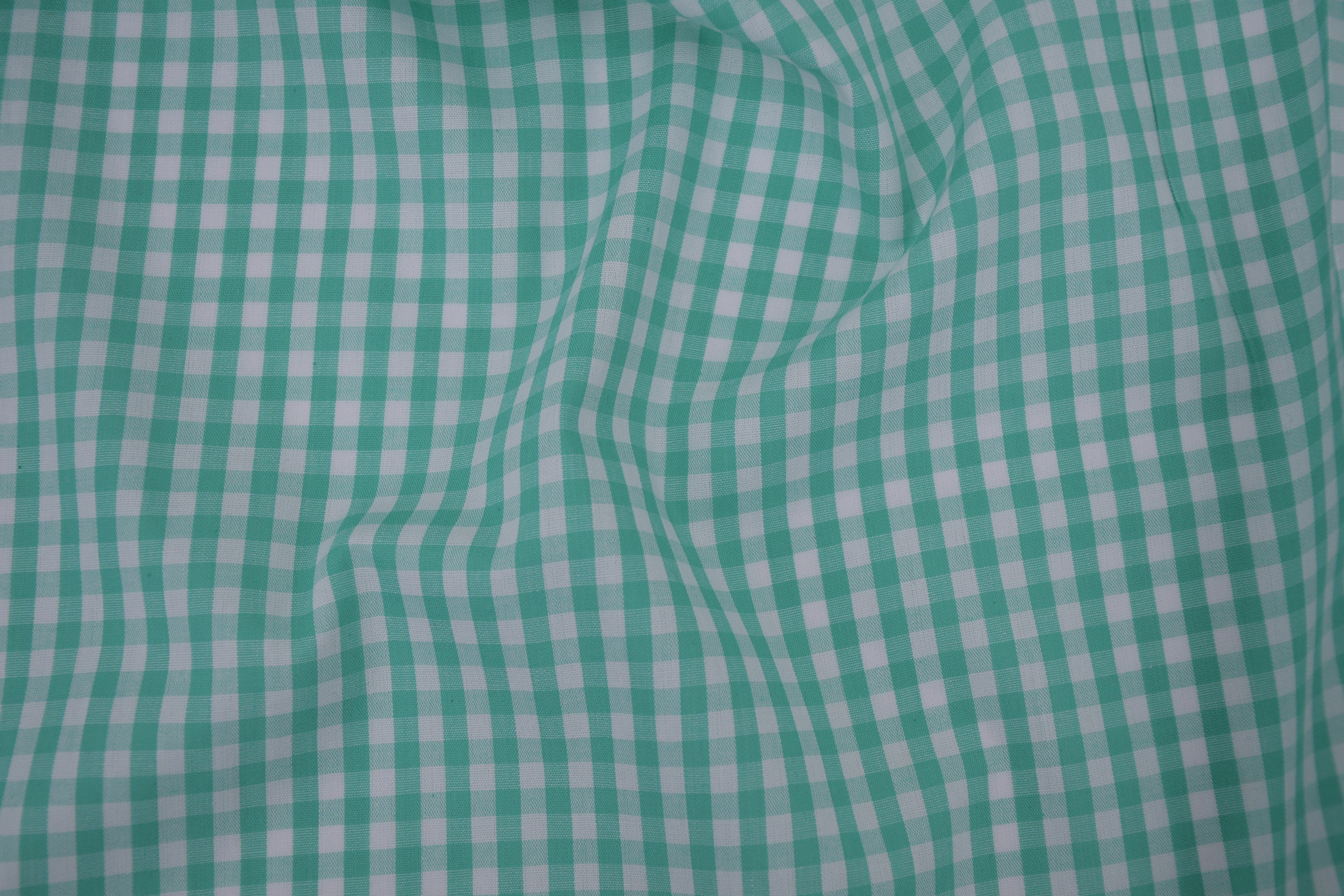 Gingham Checks Yarn-Dyed Cotton Fabric - Aqua Green