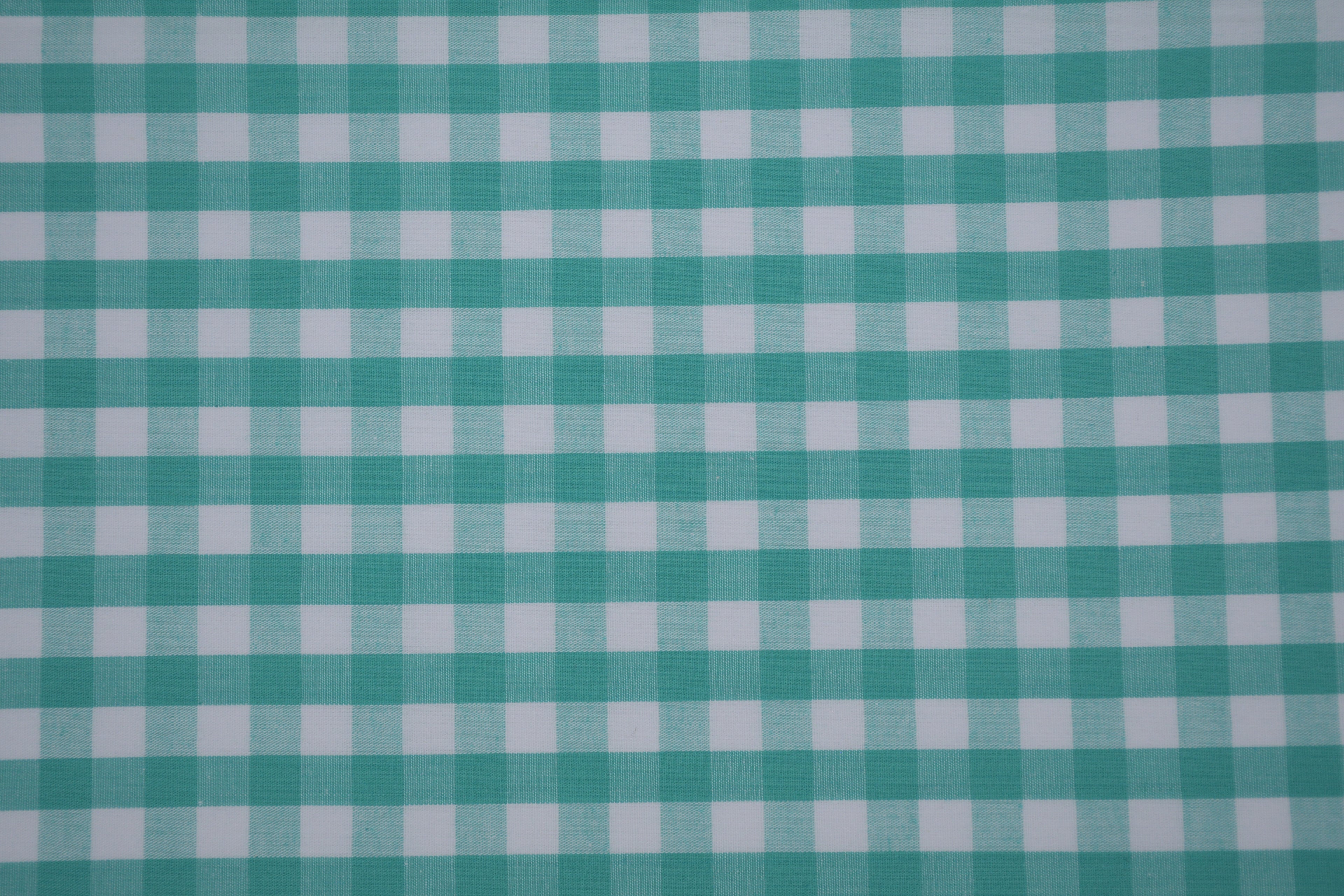 Gingham Checks Yarn-Dyed Cotton Fabric - Aqua Green