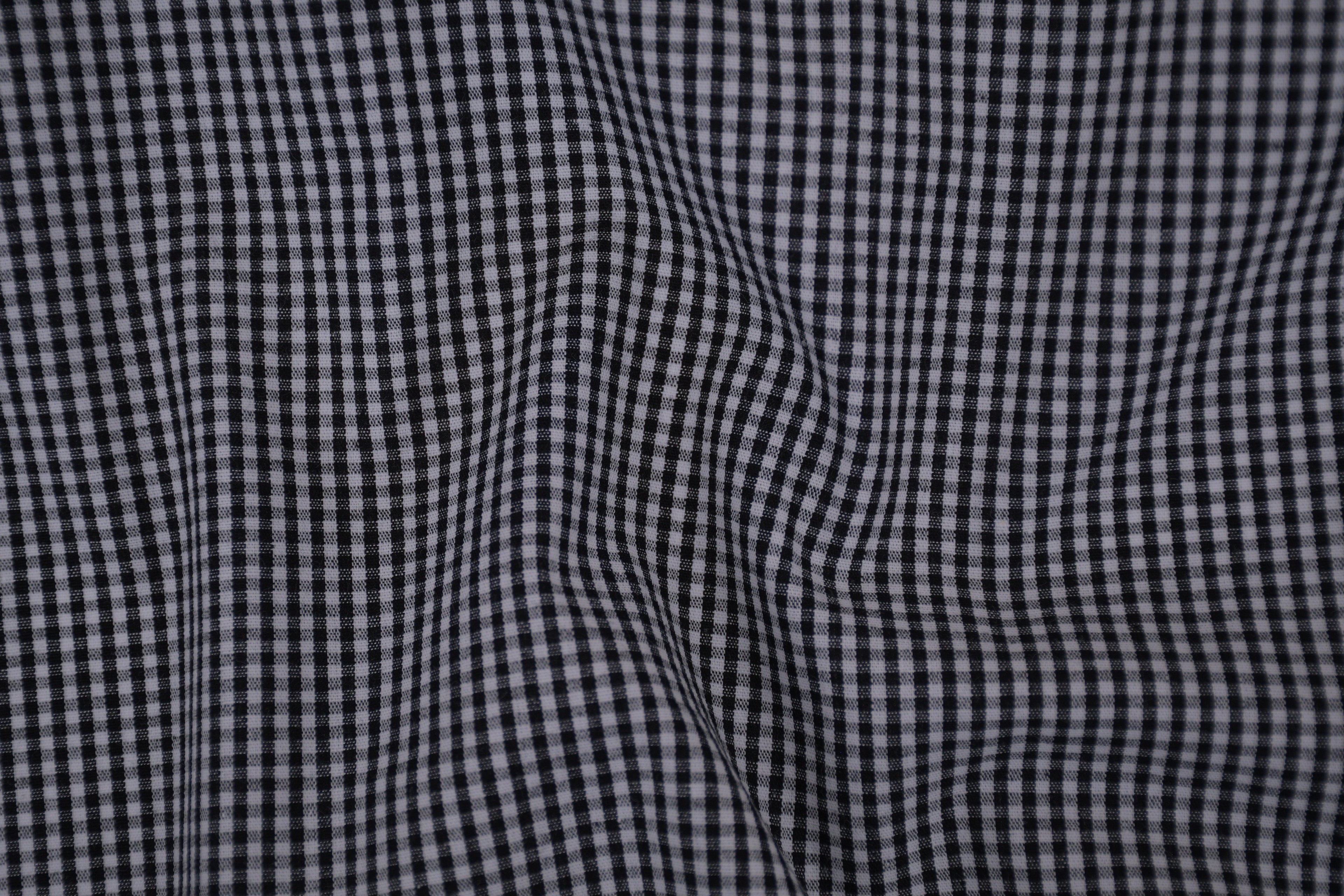 Gingham Checks Yarn-Dyed Cotton Fabric - Black